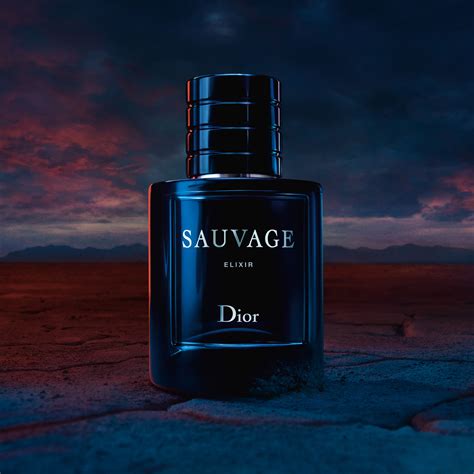 dior elixir 100ml|sauvage elixir dior best price.